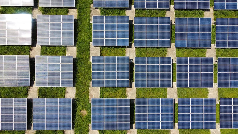 Paneles solares